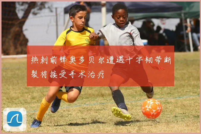 热刺前锋奥多贝尔遭遇十字韧带断裂将接受手术治疗
