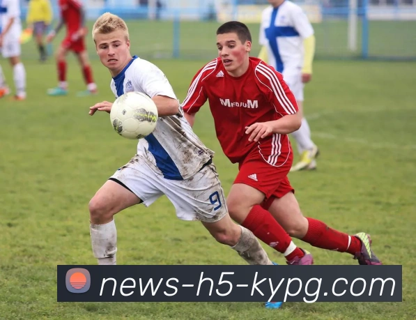 开元棋牌平台生态图